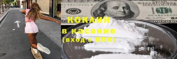крисы Кодинск