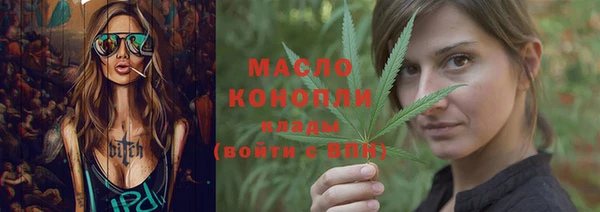 индика Козловка