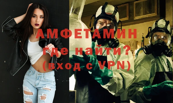 индика Козловка