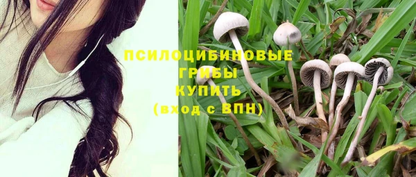 крисы Кодинск