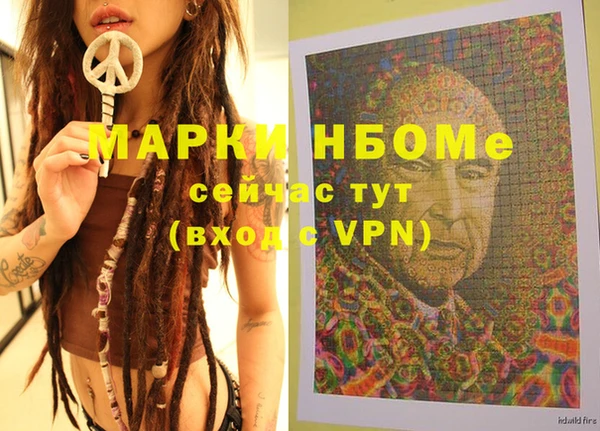 индика Козловка