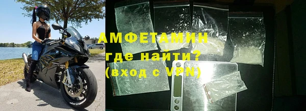 индика Козловка