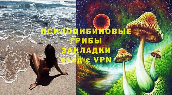крисы Кодинск