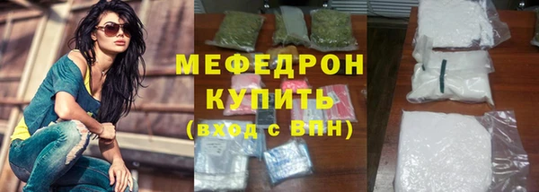 индика Козловка
